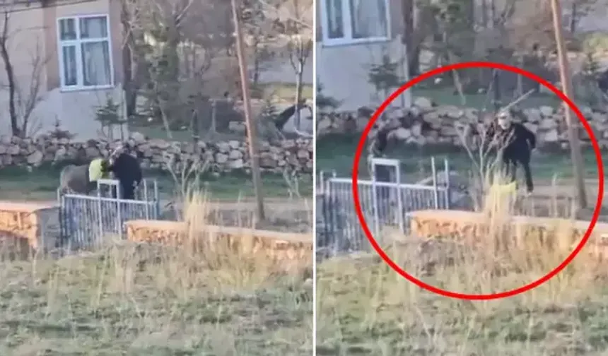 Eşeğe sopalı eziyet kamerada! Başına çuval geçirip dövdü