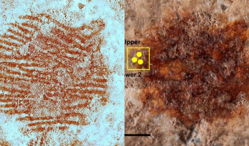 Tarihin en eski parmak izi! Neandertalden bir sanat dokunuşu