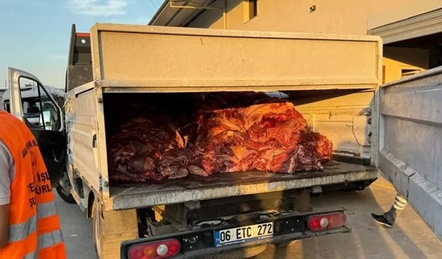 Mide bulandıran görüntü: 3 ton tek tırnaklı eti ele geçirildi