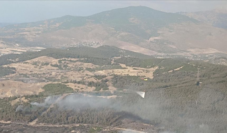 Aliağa'da çıkan orman yangınına ekipler müdahale ediyor