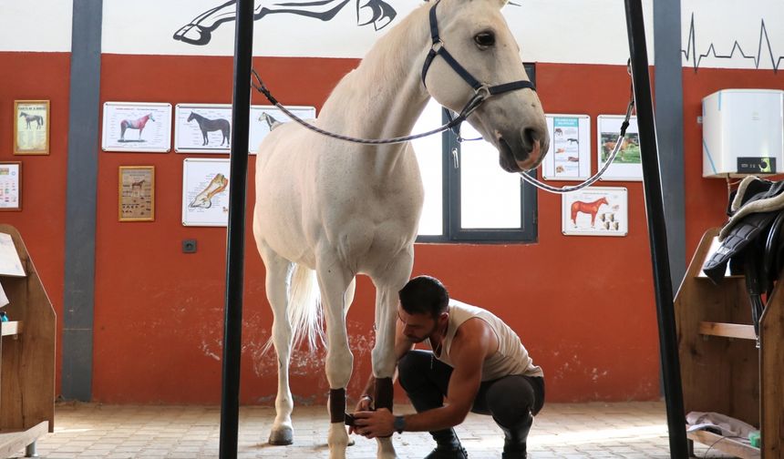 Gaziantep'te hobi olarak biniciliğe başlayan doktor lisanslı sporcu oldu