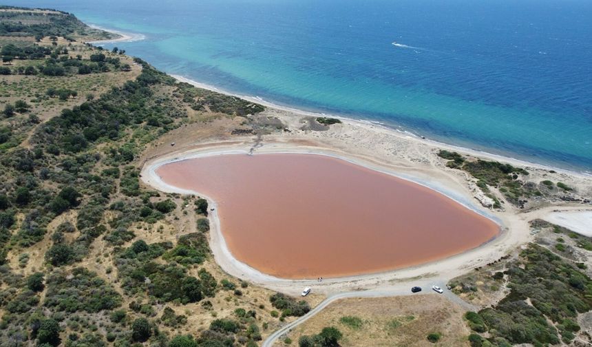 Çanakkale'deki gölün rengi pembeye döndü: Nedeni belli oldu