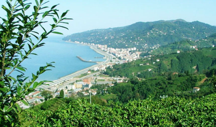 Çayeli’nde nereye gidilir? Doğayla iç içe rotalar