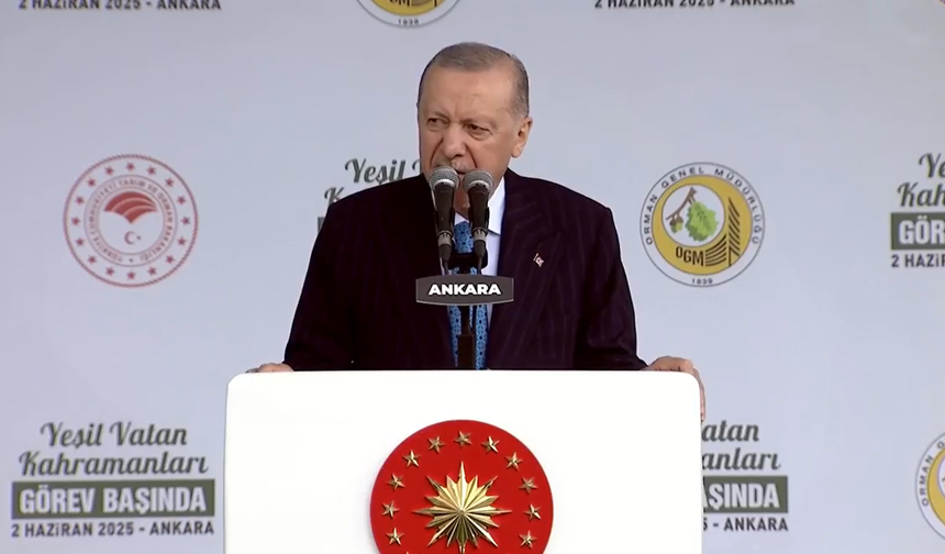 Cumhurbaşkanı Erdoğan: "Orman varlıklarımız tehdit altında"