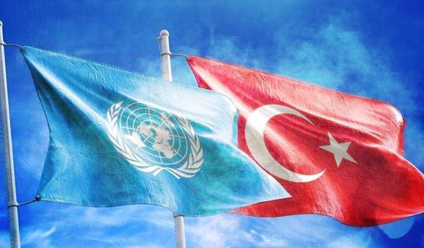 Türkiye, BM Ekonomik ve Sosyal Konseyi üyeliğine seçildi