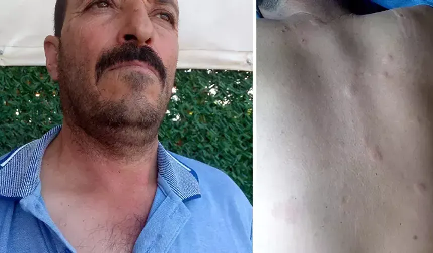 Duyduğu seslere giden çiftçi hayatının şokunu yaşadı!