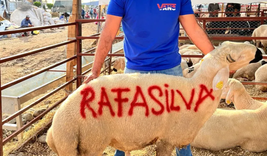 Rafa Silva sevgisi: Kurbanlıklara adını yazdılar...