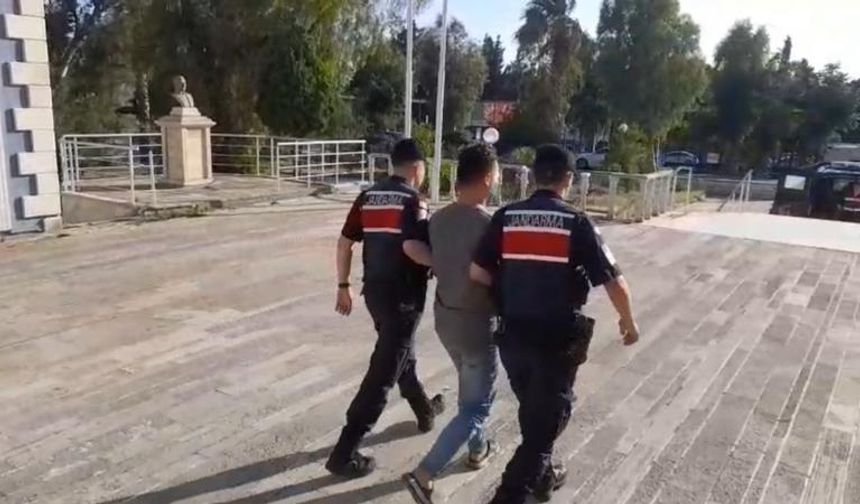 İzmir'de orman yangınına neden olan şüpheli tutuklandı