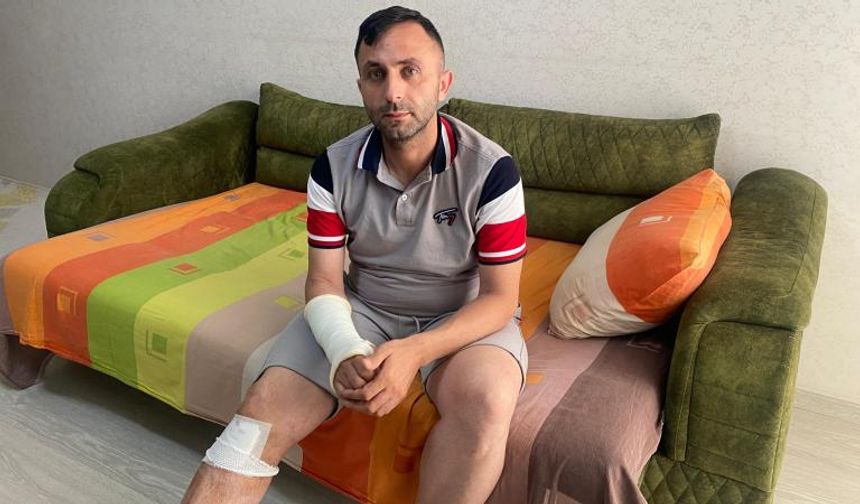 Mersin'de başıboş köpeklerin saldırdığı kişi yaralandı