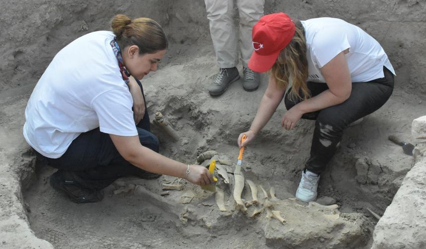 Türk arkeologlar, Türk tarihine ışık tutacak kazı çalışmaları yapıyor