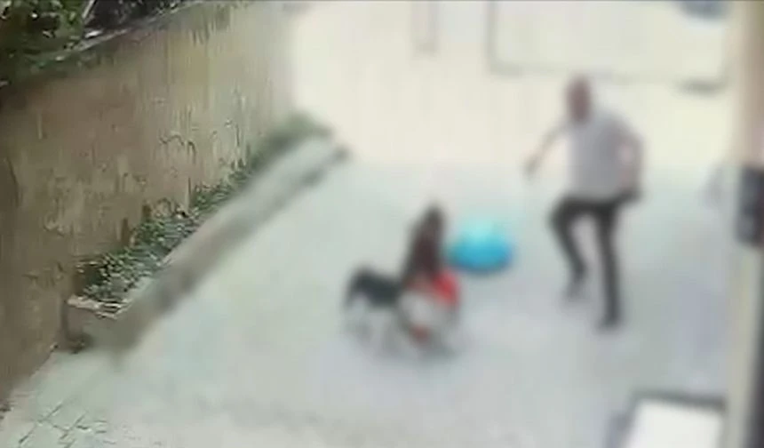 İstanbul'da pitbull cinsi köpeğin saldırdığı çocuk yaralandı