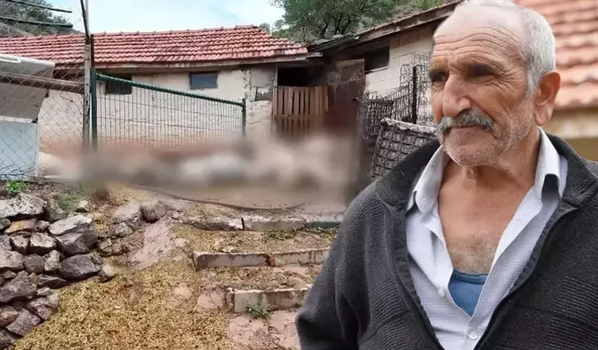 Bir gecede hepsi yok oldu! Canavar geldi, hepsini kırdı geçti