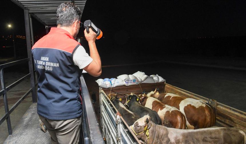 Kurban sevkiyatına yol denetim istasyonlarında sıkı denetim