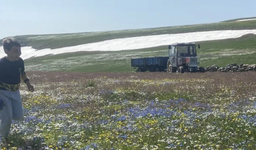 Burası Türkiye! Bir yanda kar, bir yanda yaz