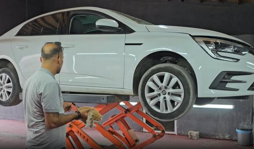 Otomobilin motor bölümüne giren kedi 3 şehir gezdi