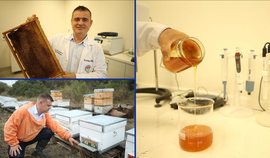 Borla üretilen doğal solüsyon arıları öldüren zararlıları yok ediyor