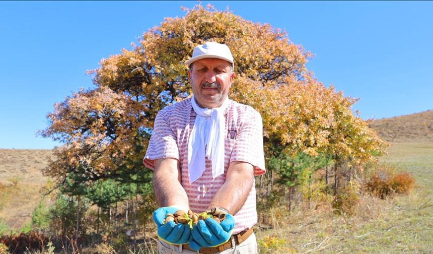 Cebinde taşıdığı tohumları 21 yıldır köyünün çorak arazileriyle buluşturuyor