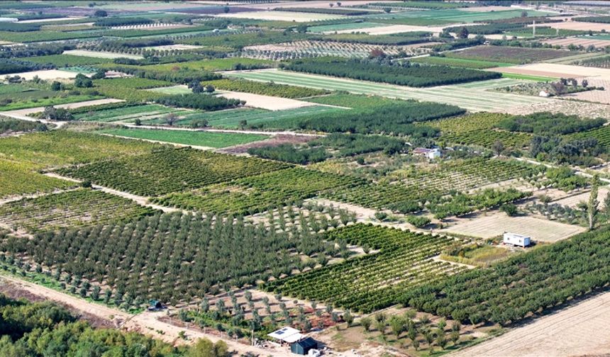 Kuraklığın etkili olduğu Ege'de çiftçiler ekim yağmurlarıyla nefes aldı