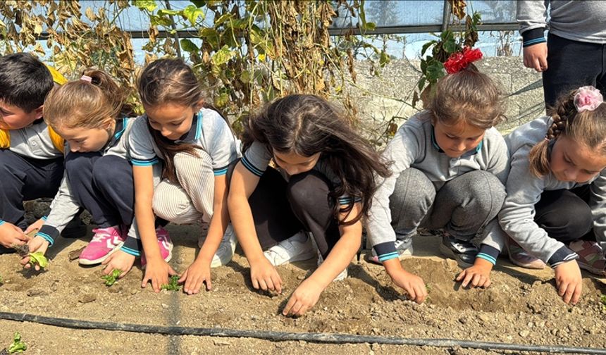 Okul bahçesindeki serada çocuklara uygulamalı tarım eğitimi veriliyor