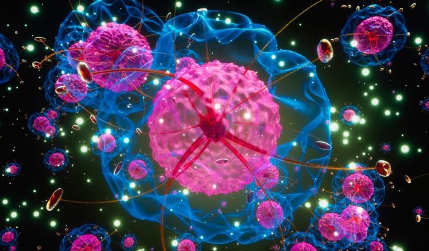 "Mutluluk hormonu" kanser tedavisinde anahtar rol oynayabilir