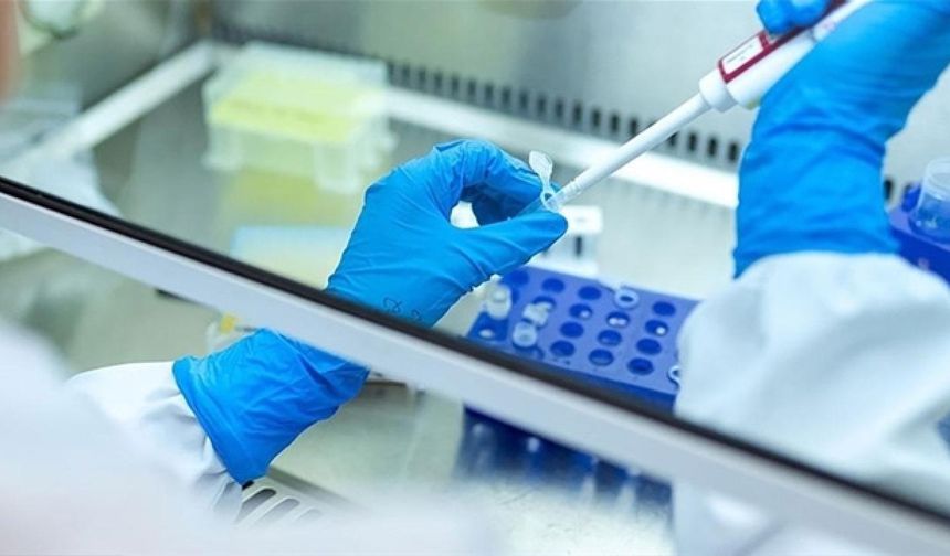 Kan testiyle kanser teşhisinde umut veren gelişme