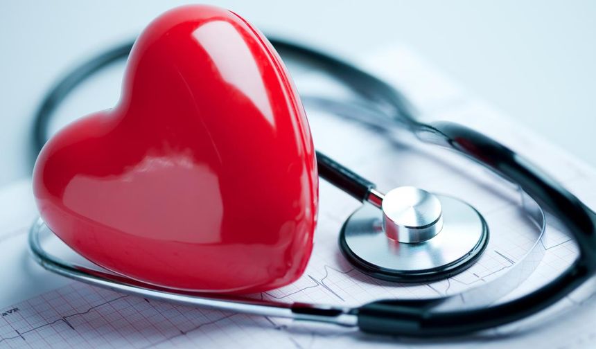 Bilim insanları, organları çatlamadan dondurmayı başardı