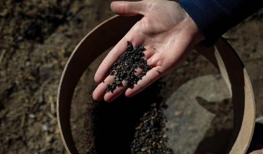 5 bin yıllık arpa taneleri bulundu