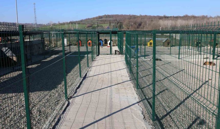 BARÜ’de kampüsteki hayvanlar için yaşam merkezi oluşturuldu