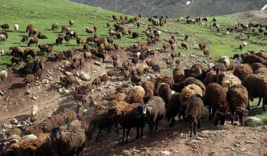 "Halk Elinde Islah Projeleri"ne 2,7 milyar lira destek