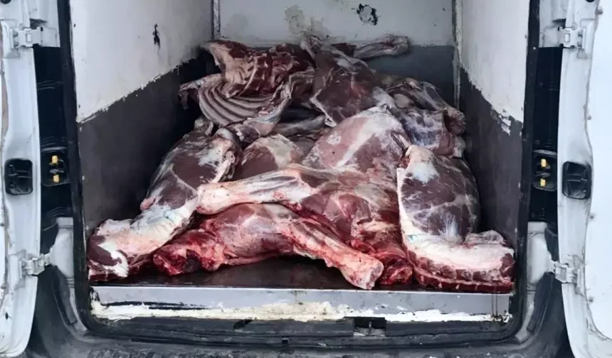 6,1 ton kaçak ve bozulmuş et ele geçirildi: 3 gözaltı