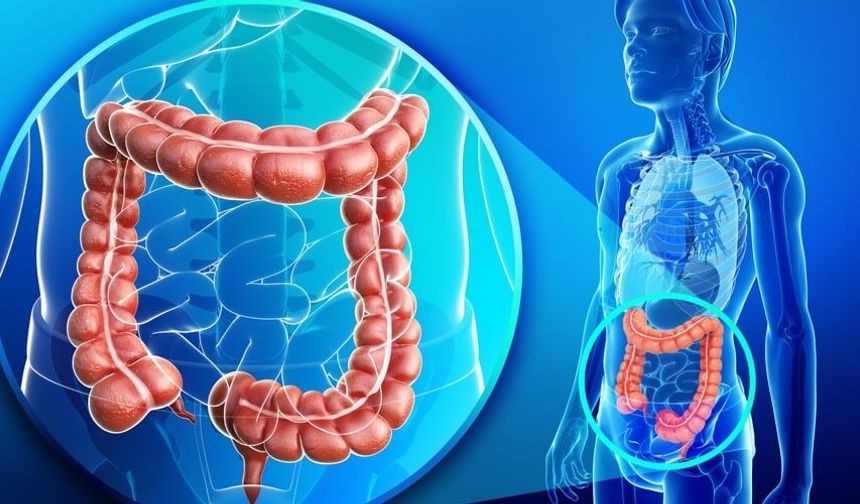 Kolon kanserine 'kolonoskopi' önerisi