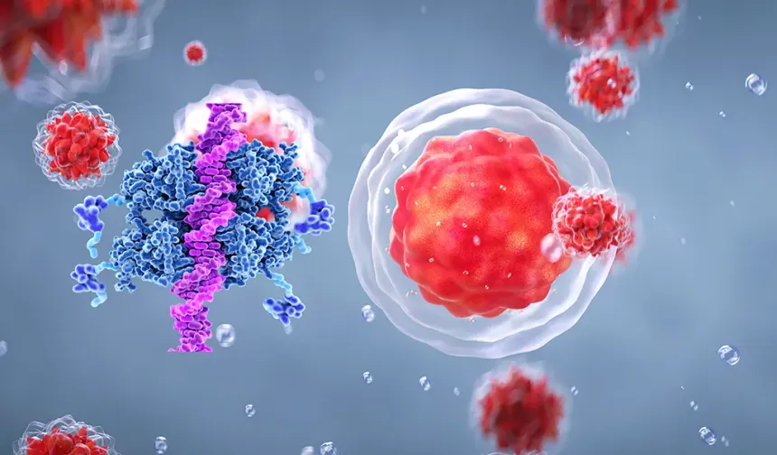 Kolon kanserinde kişiye özel dönem