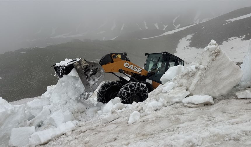 Artvin'de yayla yollarında karla mücadele sürüyor