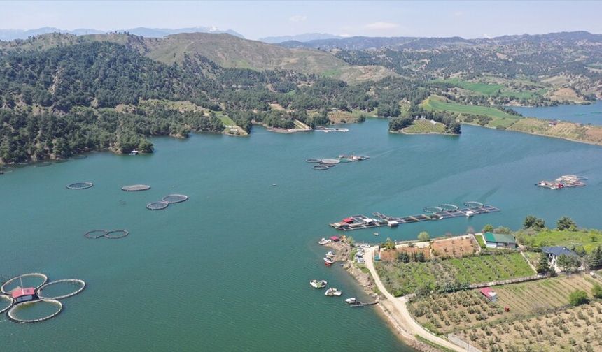 Kahramanmaraş'ta yağışlar barajları doldurdu