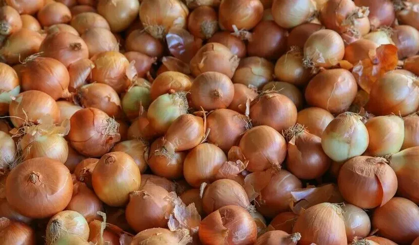 Kuru soğan ve yağlık ayçiçeği tohumu ithalatında gümrük vergilerine düzenleme