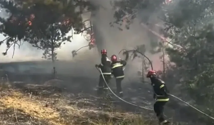 Sırbistan'da 45 orman yangınına müdahale sürüyor