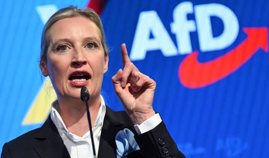 Saksonya-Anhalt'ta BSW'den AfD'ye destek