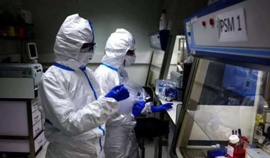Endonezya, Sibirya'daki vaka nedeniyle girişlerde önlem aldı
