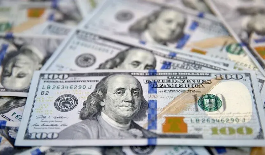 Dolar endeksi son 18 ayın zirvesinde