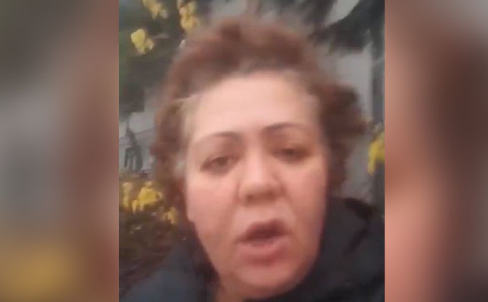 Ankara'daki köpek saldırısı için aileleri suçladı: Köpekler haklı