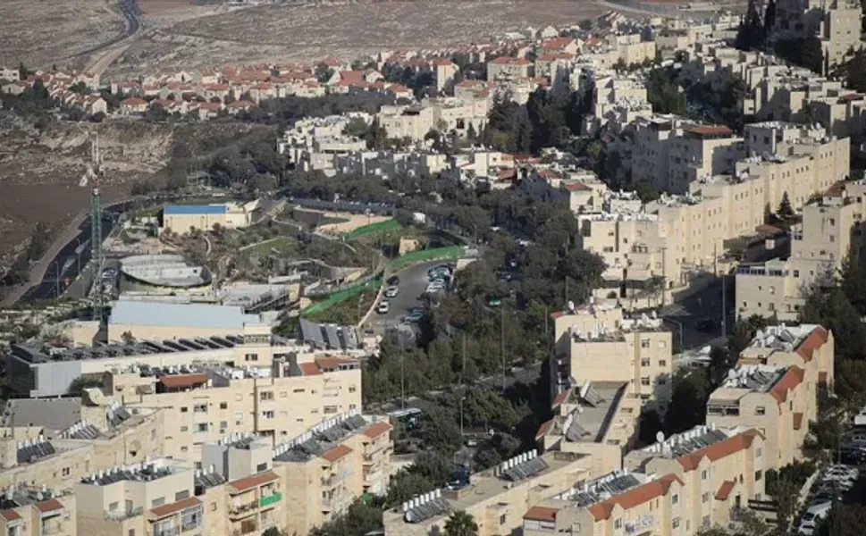 İsrailliler Batı Şeria'da bir Filistinlinin 25 koyununu çaldı!