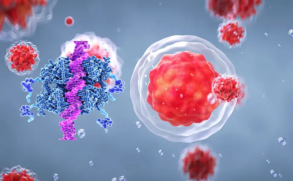 Kolon kanserinde kişiye özel dönem