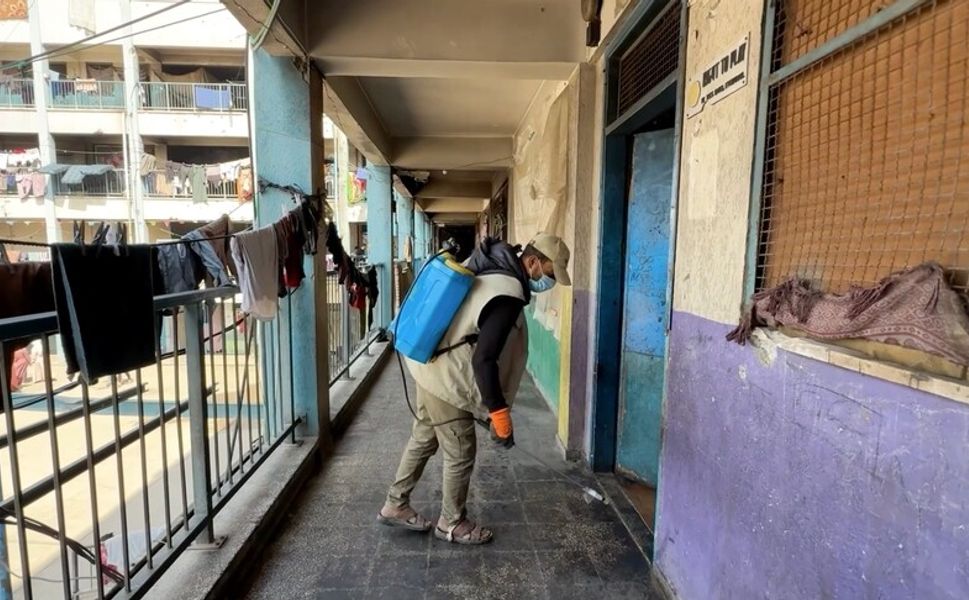 Gazze'de yerinden edilen Filistinliler, sığınma merkezlerinde haşereyle mücadele ediyor