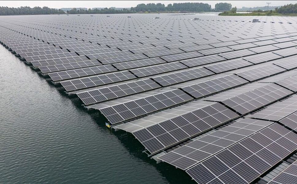 Yüzer güneş enerji santralleri doğal yaşama çatı oluyor