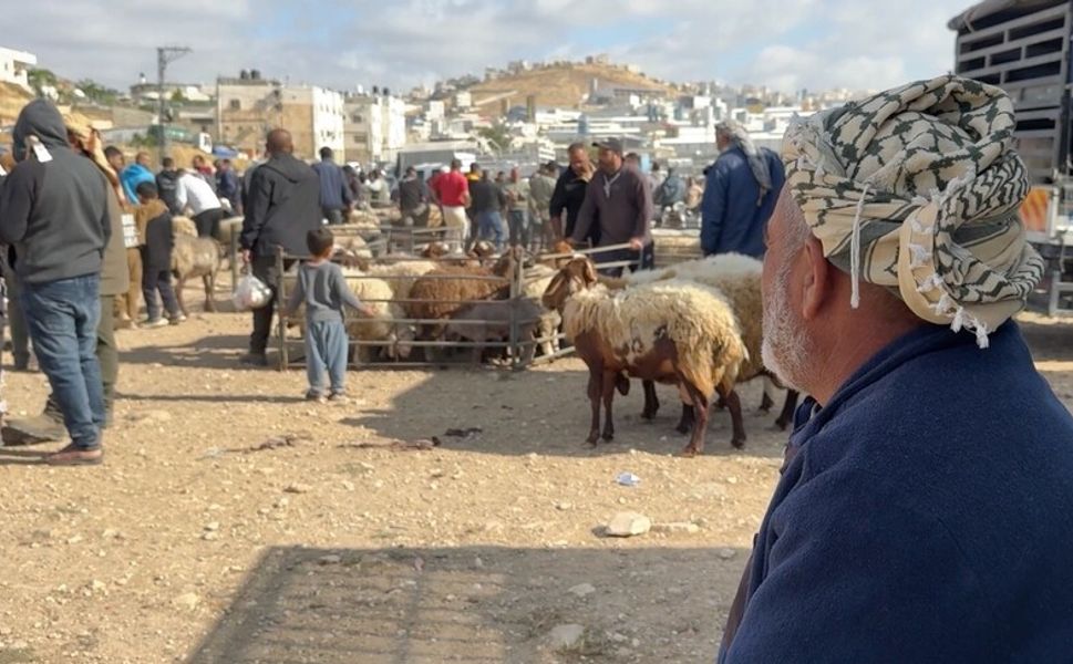 İsraillilerin hayvan hırsızlığı ve mera gasbı Batı Şeria'da kurban pazarlarını vurdu