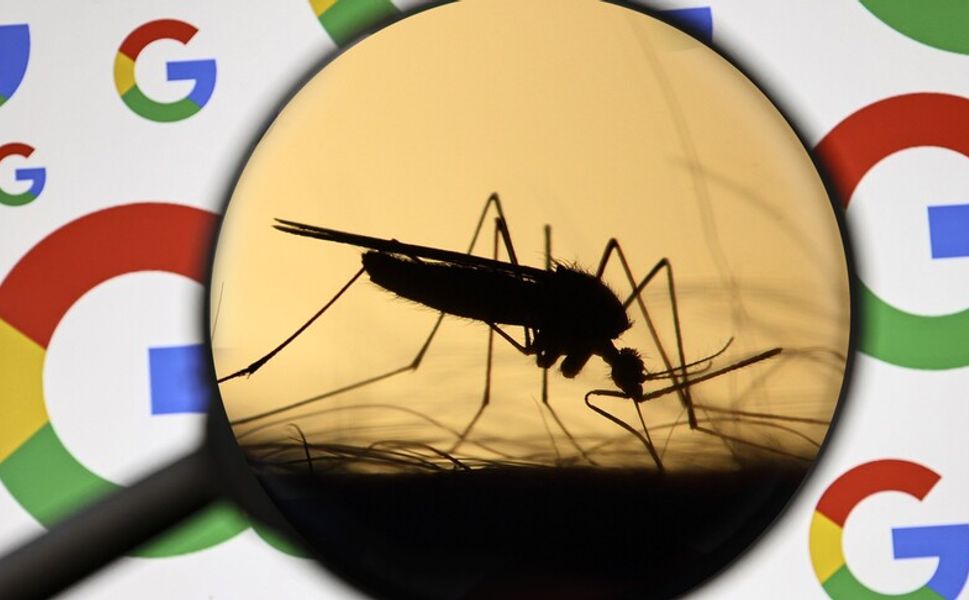 Google, 32 milyon "kısır sivrisineği" doğaya salmaya hazırlanıyor