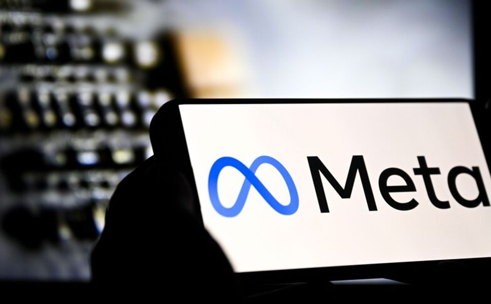 AB Adalet Divanının Meta kararı Türkiye'deki basın hakkı tartışmalarına emsal olabilir