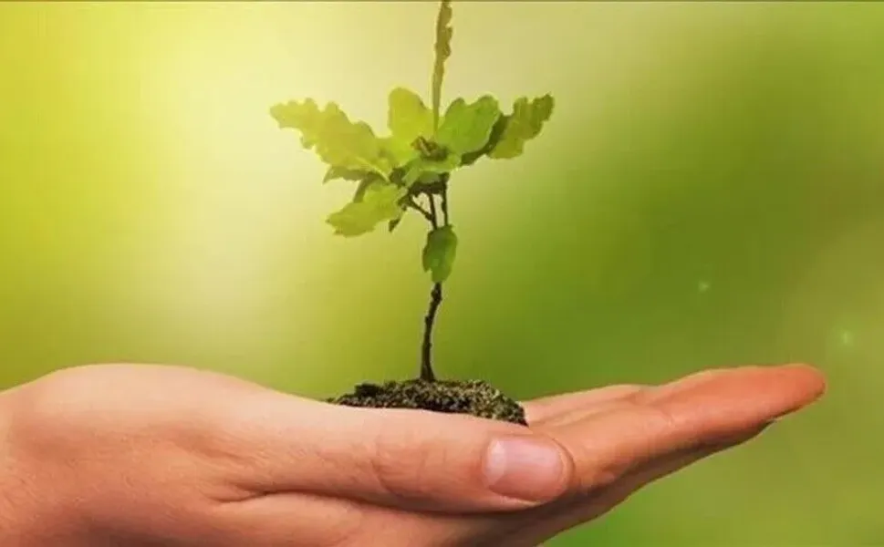 Eğitim yapılarında "yeşil dönüşüm" dönemi başlıyor