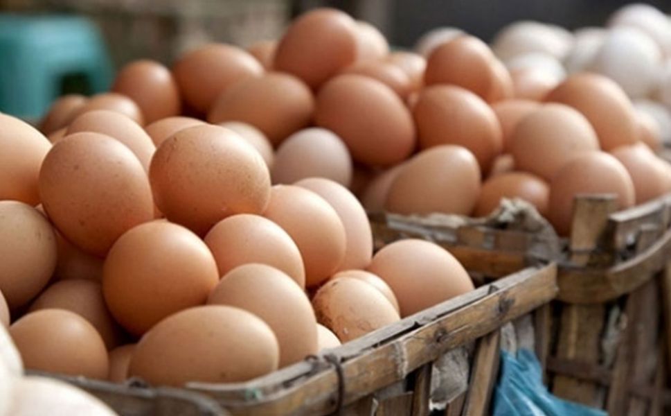 Yumurta İhracatında 9 Ayda Yüzde 54 Artış: 418 Milyon Dolar
