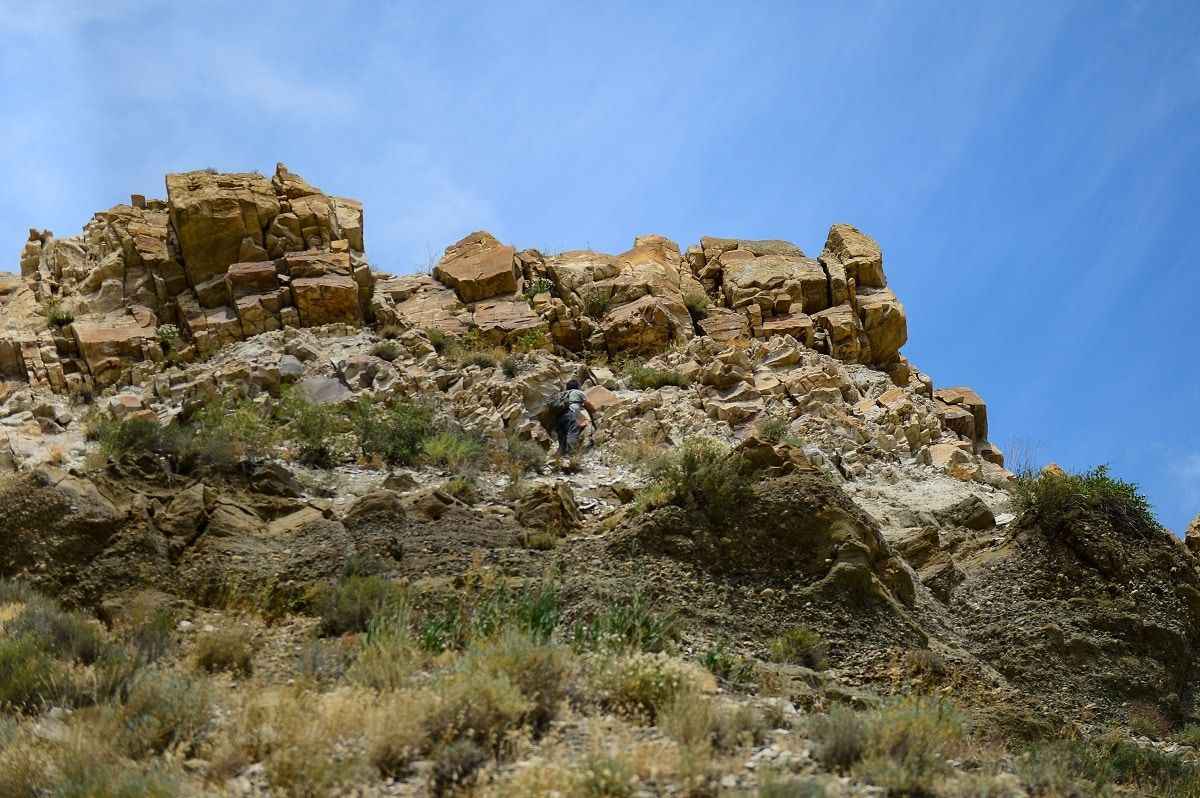 <p>Iğdır Üniversitesi Biyoçeşitlilik Araştırma ve Uygulama Merkezi Dr. Öğretim Üyesi Belkıs Muca Yiğit, Serhat bölgesinde yer alan biyoçeşitlilikle ilgili çalışma yürüttüklerini aktararak, şunları söyledi: </p>
